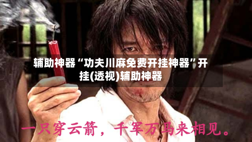 辅助神器“功夫川麻免费开挂神器”开挂(透视)辅助神器-第1张图片