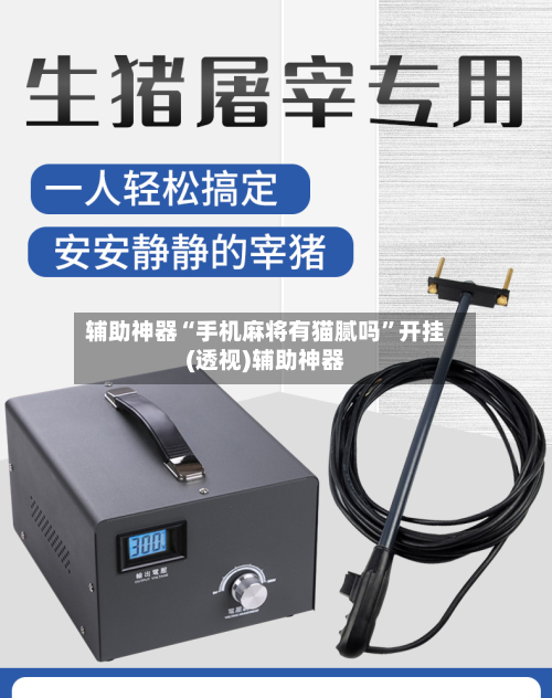 辅助神器“手机麻将有猫腻吗	”开挂(透视)辅助神器-第1张图片