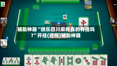 辅助神器“微乐四川麻将真的有挂吗?”开挂(透视)辅助神器-第2张图片
