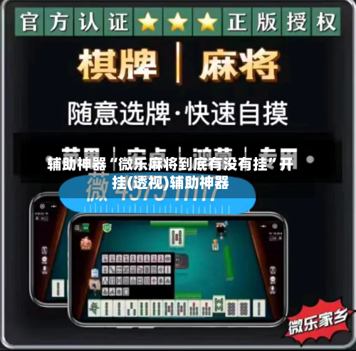 辅助神器“微乐麻将到底有没有挂”开挂(透视)辅助神器-第2张图片