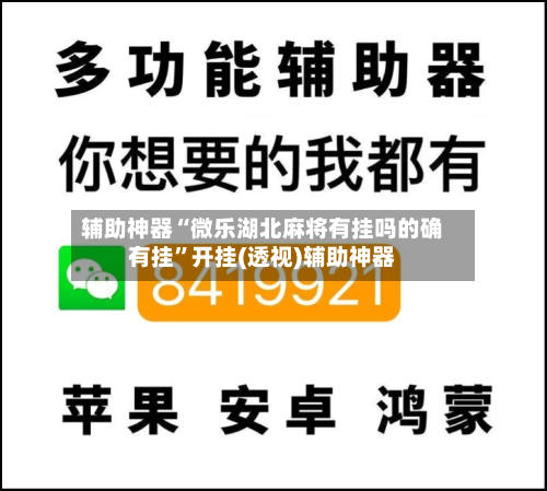 辅助神器“微乐湖北麻将有挂吗的确有挂”开挂(透视)辅助神器-第1张图片