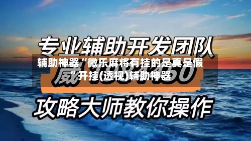 辅助神器“微乐麻将有挂的是真是假”开挂(透视)辅助神器-第2张图片