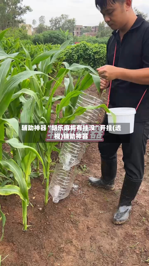 辅助神器“胡乐麻将有挂没”开挂(透视)辅助神器-第2张图片