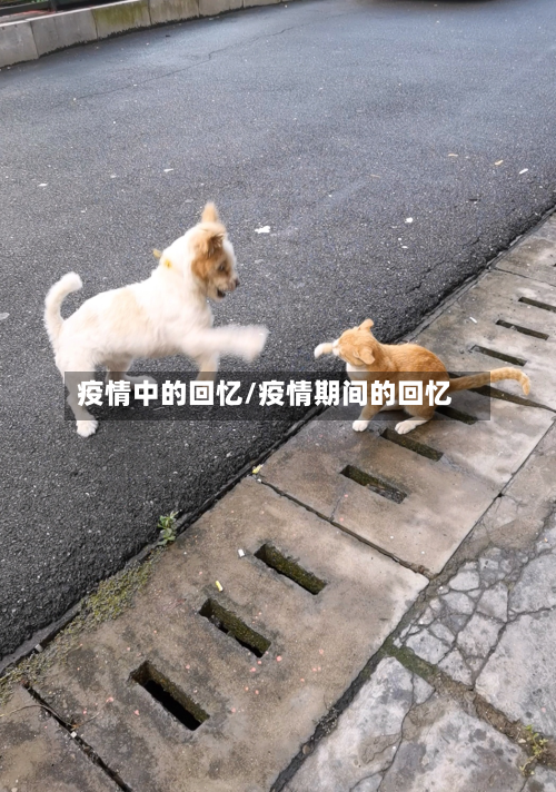 疫情中的回忆/疫情期间的回忆-第1张图片