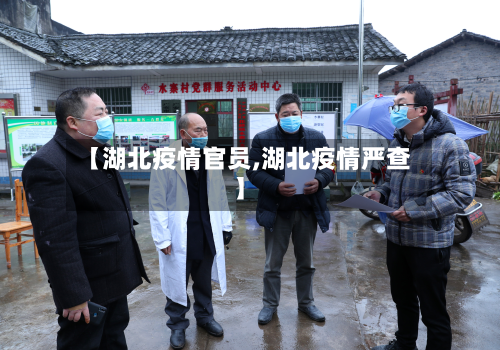 【湖北疫情官员,湖北疫情严查】-第3张图片