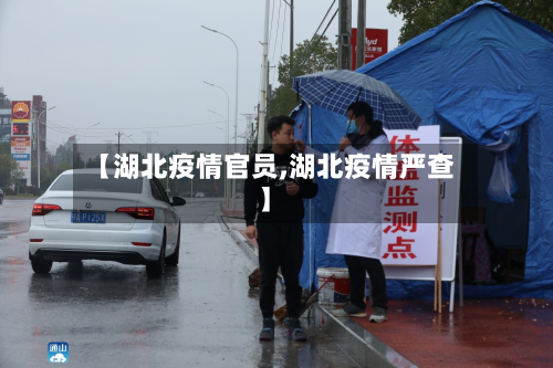 【湖北疫情官员,湖北疫情严查】-第2张图片
