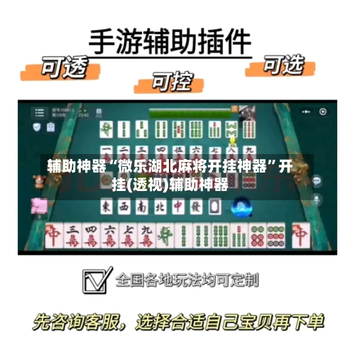 辅助神器“微乐湖北麻将开挂神器”开挂(透视)辅助神器-第2张图片