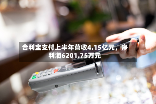 合利宝支付上半年营收4.15亿元，净利润6201.75万元-第1张图片