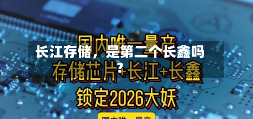 长江存储	，是第二个长鑫吗？-第3张图片