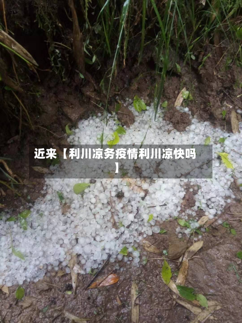 近来【利川凉务疫情利川凉快吗】-第2张图片