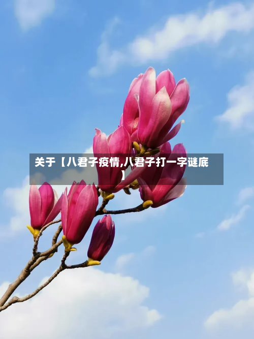 关于【八君子疫情,八君子打一字谜底】-第3张图片