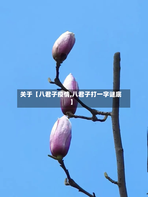 关于【八君子疫情,八君子打一字谜底】-第2张图片