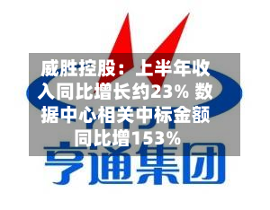 威胜控股：上半年收入同比增长约23% 数据中心相关中标金额同比增153%-第1张图片