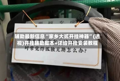辅助最新信息“家乡大贰开挂神器	”(透视)开挂辅助脚本+详细开挂安装教程-第2张图片