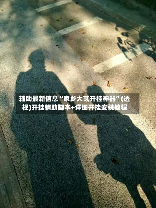 辅助最新信息“家乡大贰开挂神器”(透视)开挂辅助脚本+详细开挂安装教程-第1张图片