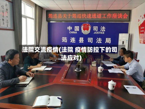 法院交流疫情(法院 疫情防控下的司法应对)-第1张图片