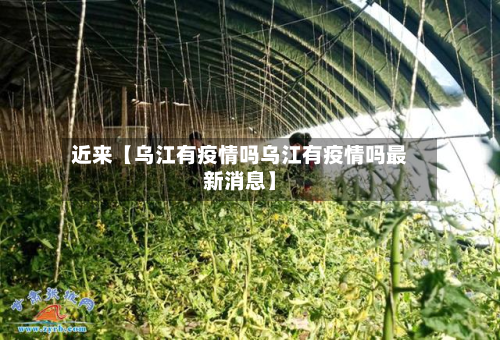 近来【乌江有疫情吗乌江有疫情吗最新消息】-第1张图片
