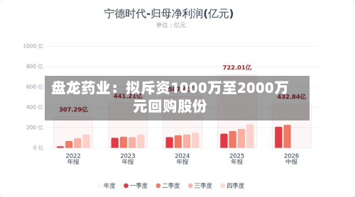 盘龙药业:拟斥资1000万至2000万元回购股份-第2张图片