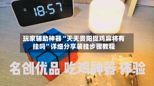 玩家辅助神器“天天贵阳捉鸡麻将有挂吗”详细分享装挂步骤教程-第1张图片