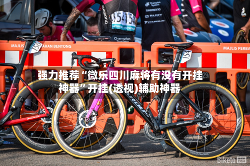强力推荐“微乐四川麻将有没有开挂神器”开挂(透视)辅助神器-第2张图片