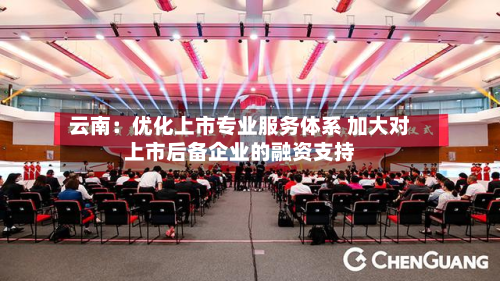 云南:优化上市专业服务体系 加大对上市后备企业的融资支持-第1张图片