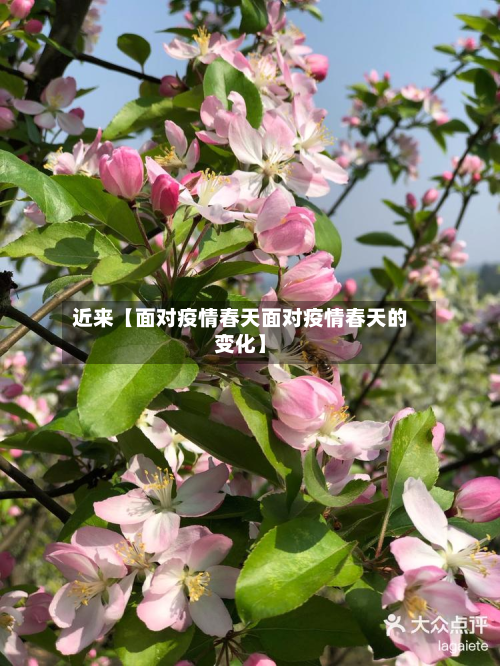 近来【面对疫情春天面对疫情春天的变化】-第2张图片