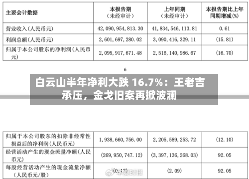 白云山半年净利大跌 16.7%：王老吉承压，金戈旧案再掀波澜-第3张图片