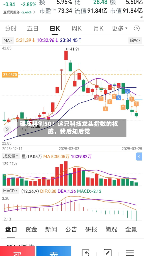 碾压科创50！这只科技龙头指数的权威，我后知后觉-第3张图片