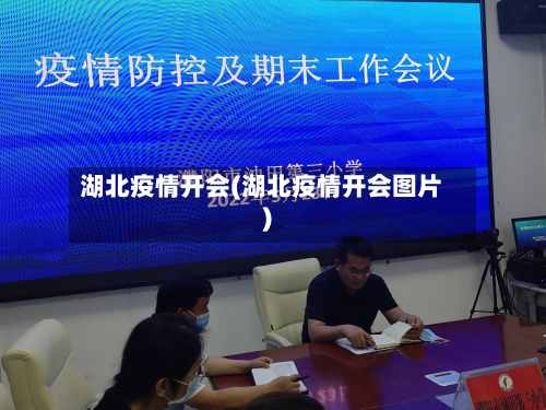 湖北疫情开会(湖北疫情开会图片)-第2张图片