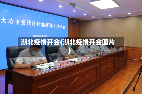 湖北疫情开会(湖北疫情开会图片)-第3张图片