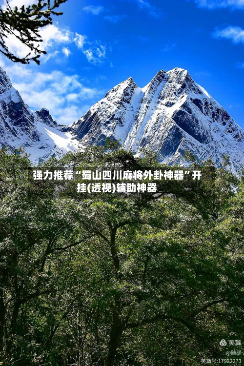 强力推荐“蜀山四川麻将外卦神器	”开挂(透视)辅助神器-第1张图片