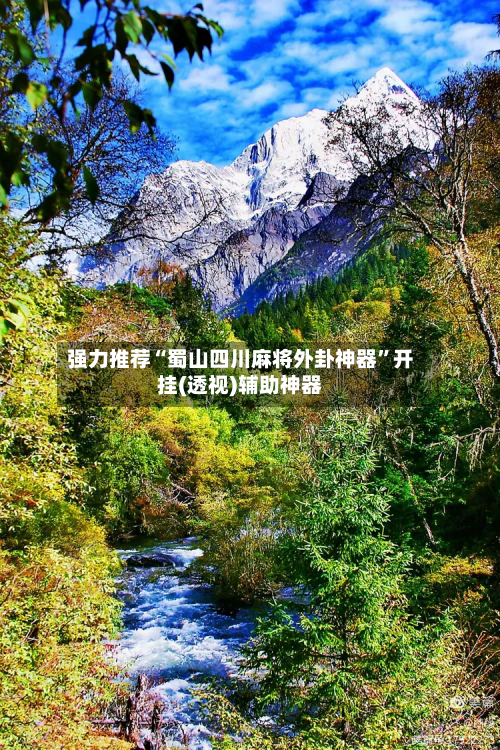强力推荐“蜀山四川麻将外卦神器”开挂(透视)辅助神器-第2张图片