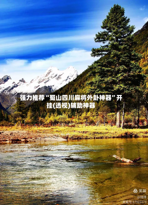 强力推荐“蜀山四川麻将外卦神器”开挂(透视)辅助神器-第3张图片