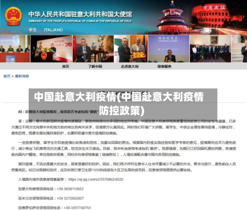 中国赴意大利疫情(中国赴意大利疫情防控政策)-第2张图片