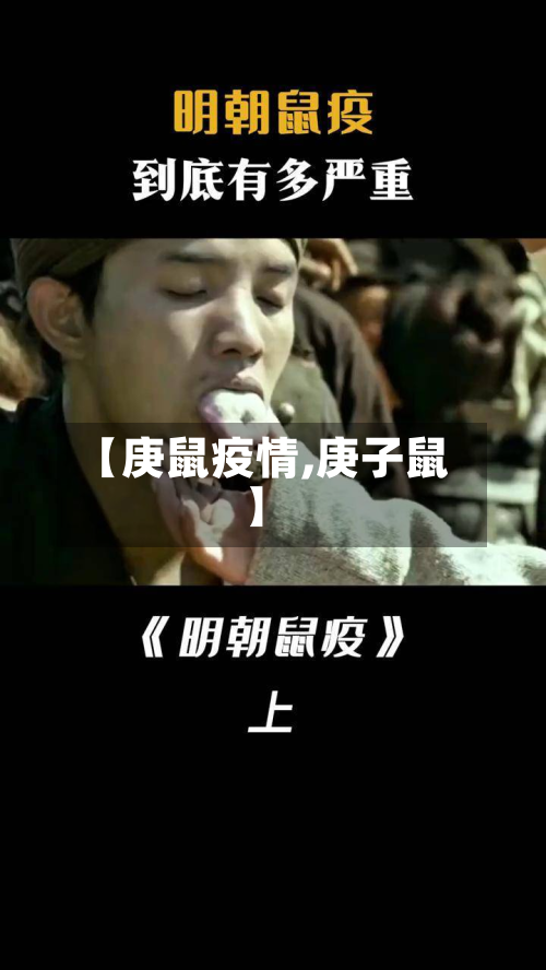 【庚鼠疫情,庚子鼠】-第2张图片