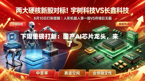 下周重磅打新：国产AI芯片龙头，来了-第1张图片