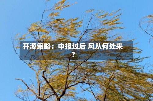开源策略：中报过后 风从何处来？-第1张图片