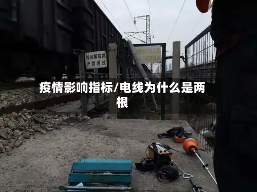 疫情影响指标/电线为什么是两根-第1张图片