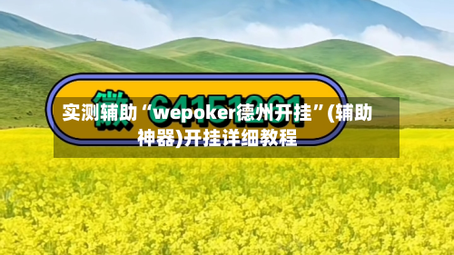 实测辅助“wepoker德州开挂”(辅助神器)开挂详细教程-第1张图片