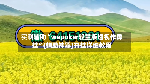 实测辅助“wepoker轻量版透视作弊挂	”(辅助神器)开挂详细教程-第1张图片