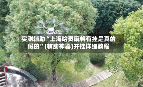 实测辅助“上海哈灵麻将有挂是真的假的	”(辅助神器)开挂详细教程-第1张图片