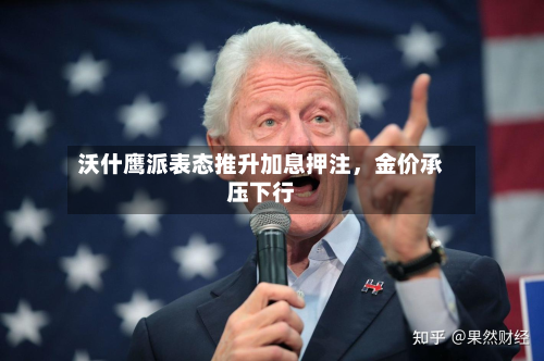 沃什鹰派表态推升加息押注，金价承压下行-第2张图片