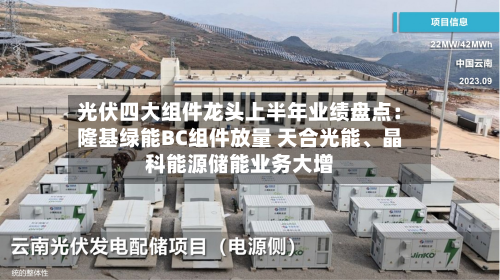 光伏四大组件龙头上半年业绩盘点：隆基绿能BC组件放量 天合光能、晶科能源储能业务大增-第1张图片