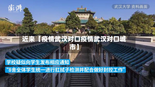 近来【疫情武汉对口疫情武汉对口城市】-第3张图片