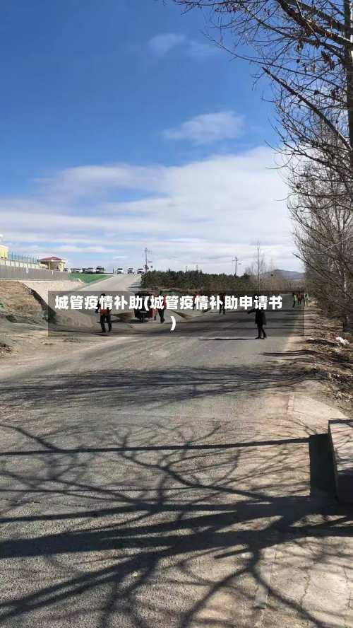 城管疫情补助(城管疫情补助申请书)-第2张图片