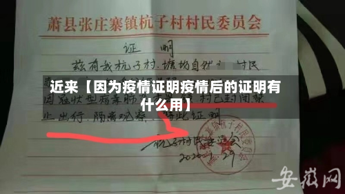 近来【因为疫情证明疫情后的证明有什么用】-第2张图片