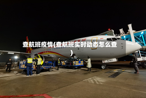 查航班疫情(查航班实时动态怎么查)-第1张图片