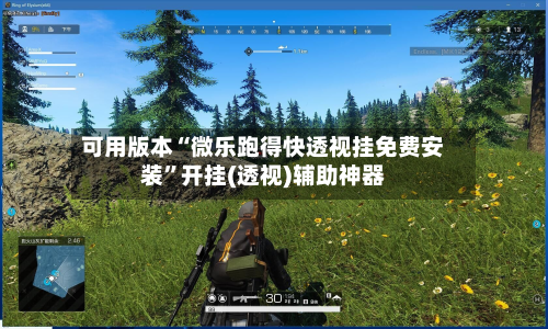 可用版本“微乐跑得快透视挂免费安装”开挂(透视)辅助神器-第1张图片