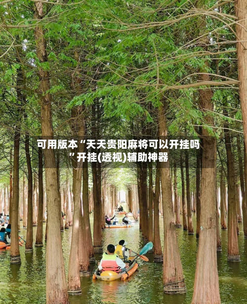 可用版本“天天贵阳麻将可以开挂吗”开挂(透视)辅助神器-第1张图片