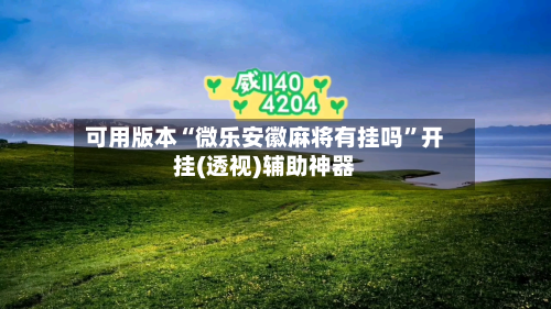 可用版本“微乐安徽麻将有挂吗”开挂(透视)辅助神器-第1张图片